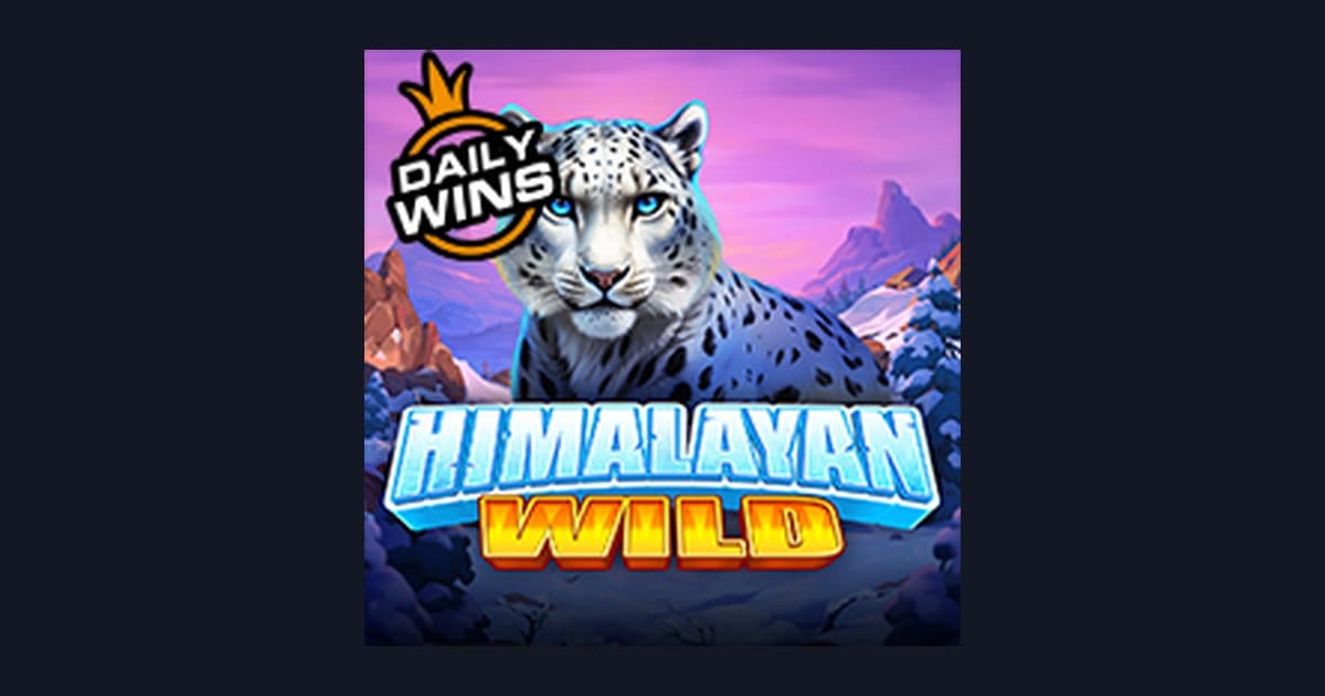 Tips Menang Buat Pemula di Slot Himalayan Wild yang Seru dan Menguntungkan